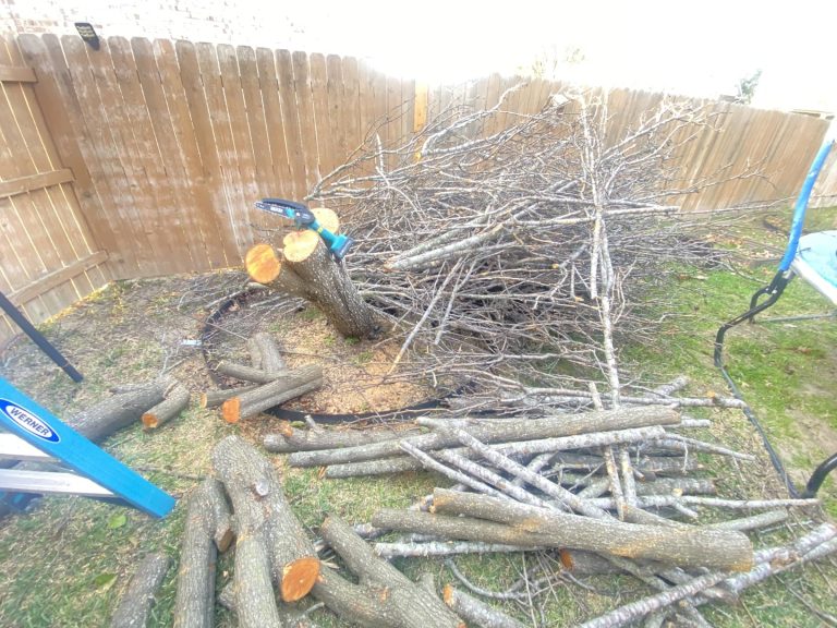 I don’t usually write reviews, but this little saw truly impressed me.
My husband laughed when he first saw it — until it easily cut 4–5 inch logs while we were camping. One charge lasted close to an hour, and it handled firewood beautifully. Just remember to get bar/chain oil and give it short cooling breaks if you’re cutting nonstop.
Great saw, worth every penny — I’m genuinely happy with this purchase! Mrs Joy FCT